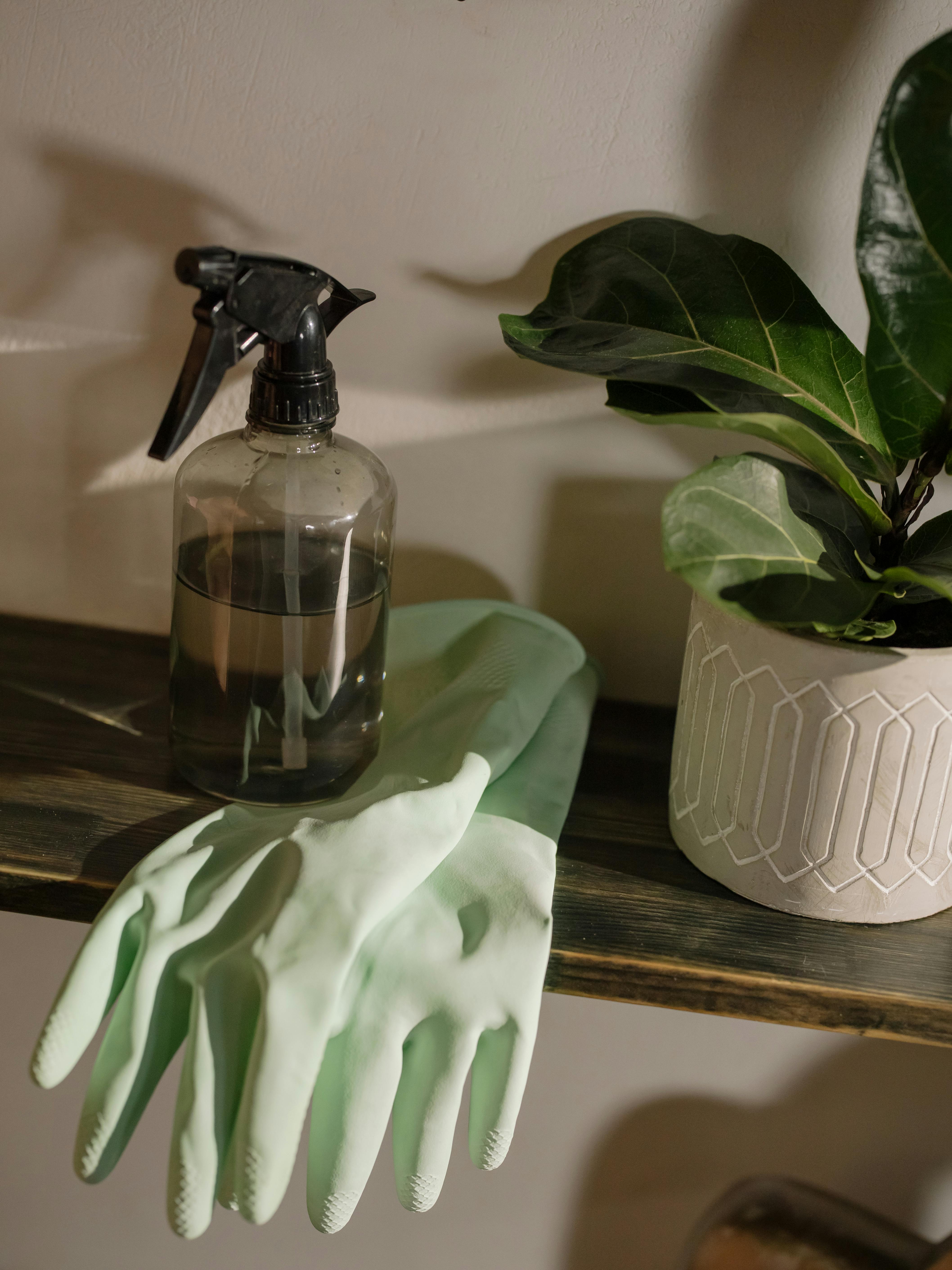 General household items placed together